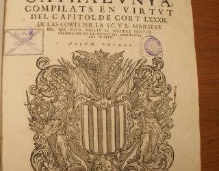 Pero, para los catalanes, el principal interés sería la defensa de los sus derechos y de sus constituciones.